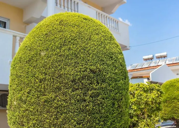 Iatridis (adults Only) *