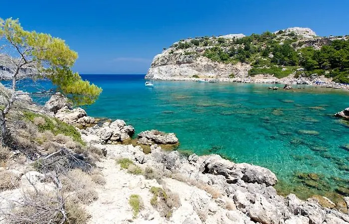 Iatridis (adults Only) *