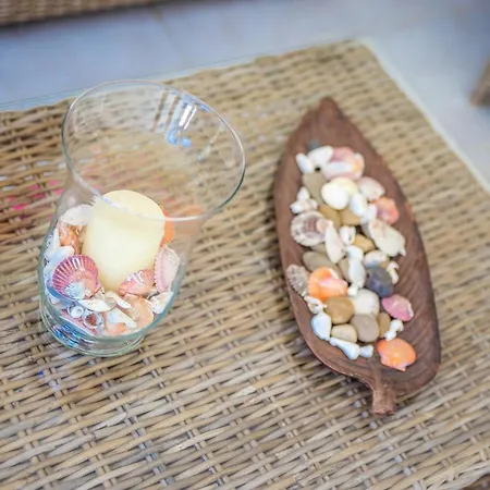 Iatridis (adults Only)