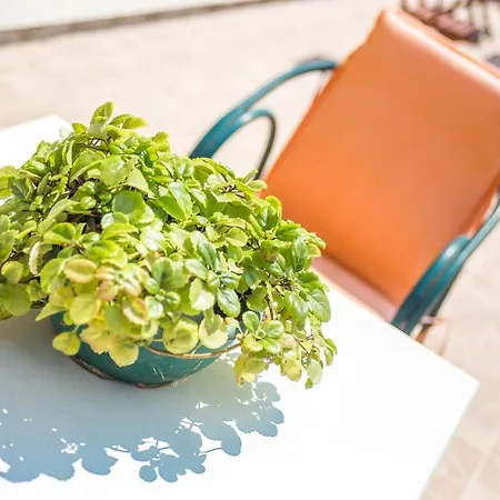 Iatridis (adults Only) Apartment *