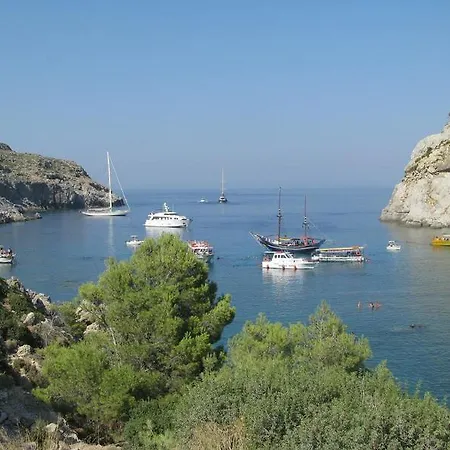 Iatridis (adults Only)