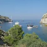 Iatridis (adults Only)
