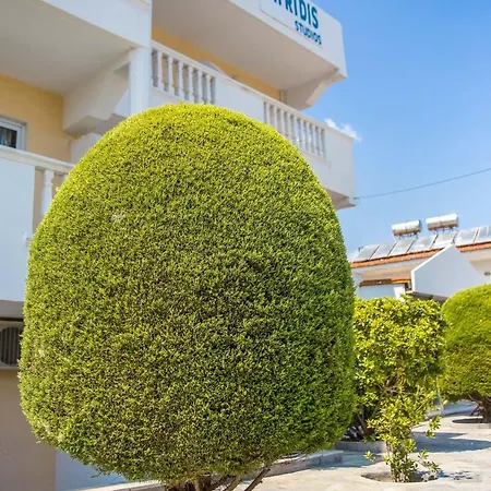 Iatridis (adults Only) *