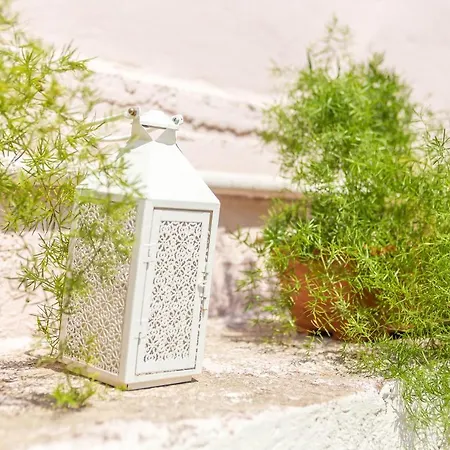 Iatridis (adults Only) * فاليراكي